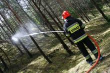 Coroczne manewry Straży Pożarnej i Nadleśnictwa Kwidzyn 2013